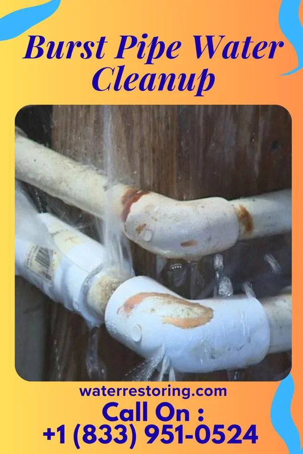 Burst Pipe Water Cleanup in Moores Hill, IN