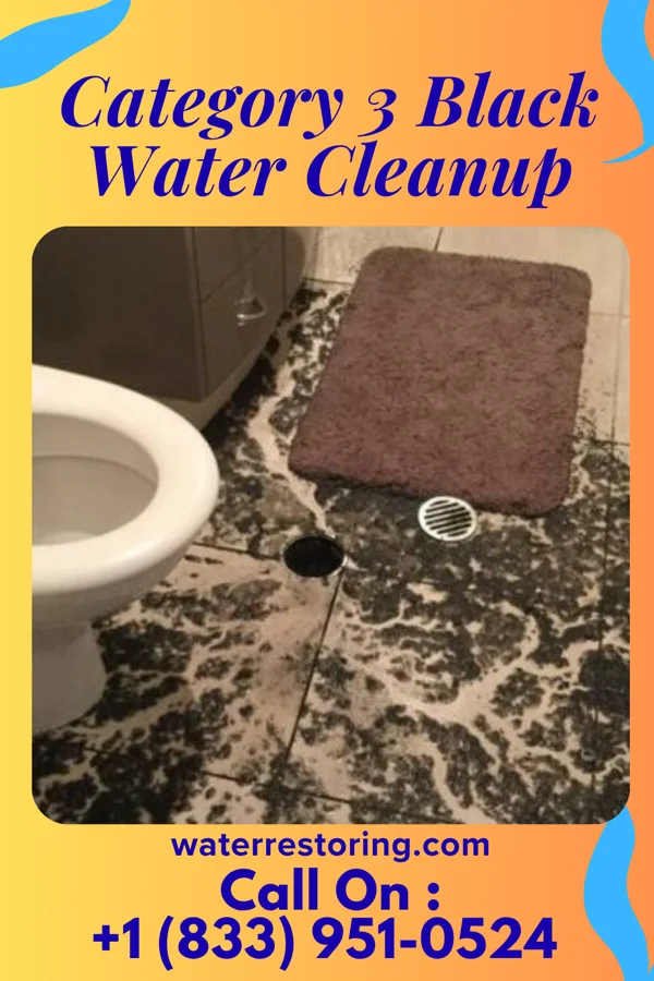 Category 3 Black Water Cleanup in Moores Hill, IN
