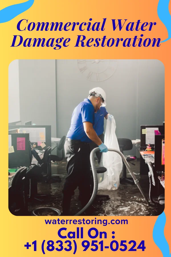 Commercial Water Damage Restoration in Moores Hill, IN