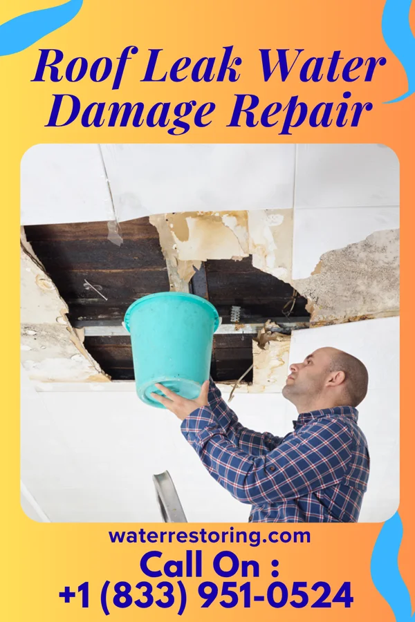 Roof Leak Water Damage Repair in Moores Hill, IN