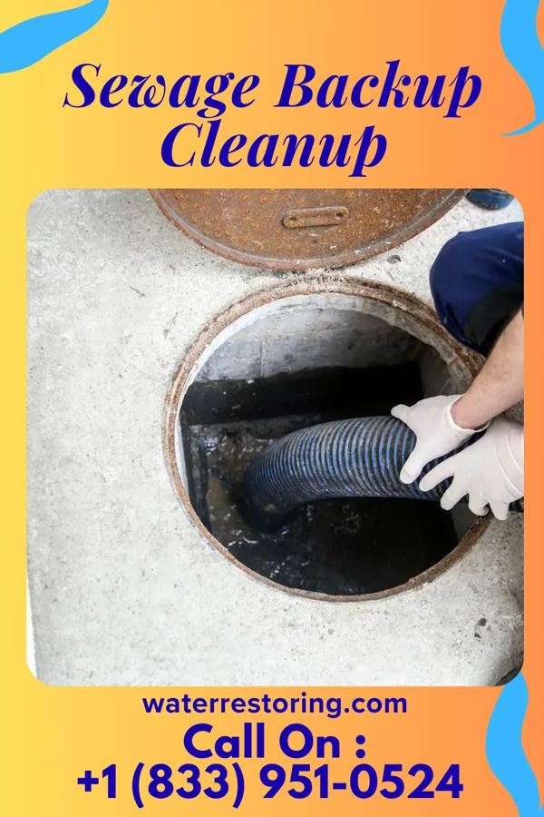 Sewage Backup Cleanup in Moores Hill, IN