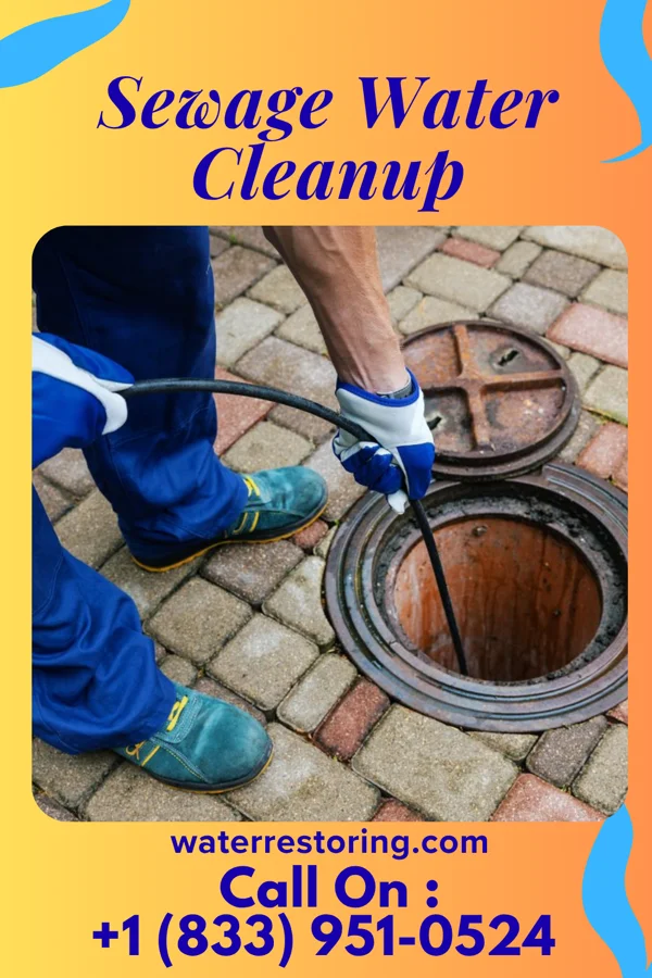 Sewage Water Cleanup in Moores Hill, IN